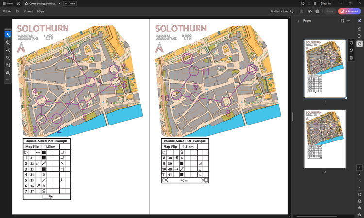 Map Flip Example original.png